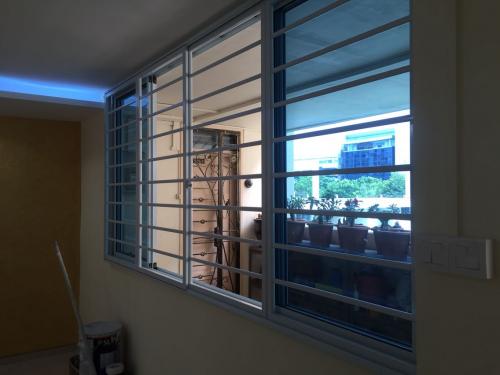 removable window grilles